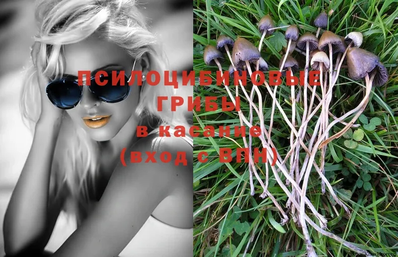 Псилоцибиновые грибы Magic Shrooms  Катайск 