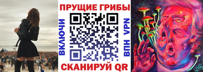 Псилоцибиновые грибы мухоморы  хочу наркоту  Катайск 